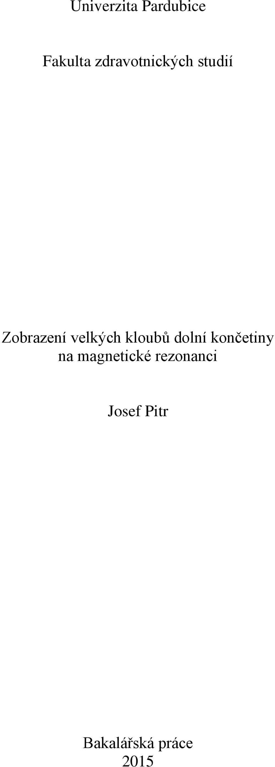 velkých kloubů dolní končetiny na