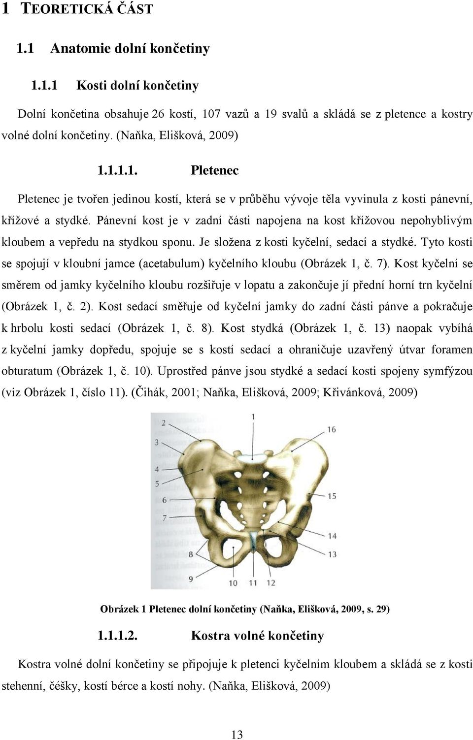 Pánevní kost je v zadní části napojena na kost křížovou nepohyblivým kloubem a vepředu na stydkou sponu. Je složena z kosti kyčelní, sedací a stydké.