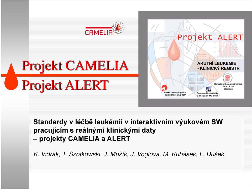 Projekt ALERT Standardy v léčbě leukémií v interaktivním výukovém SW pracujícím s reálnými