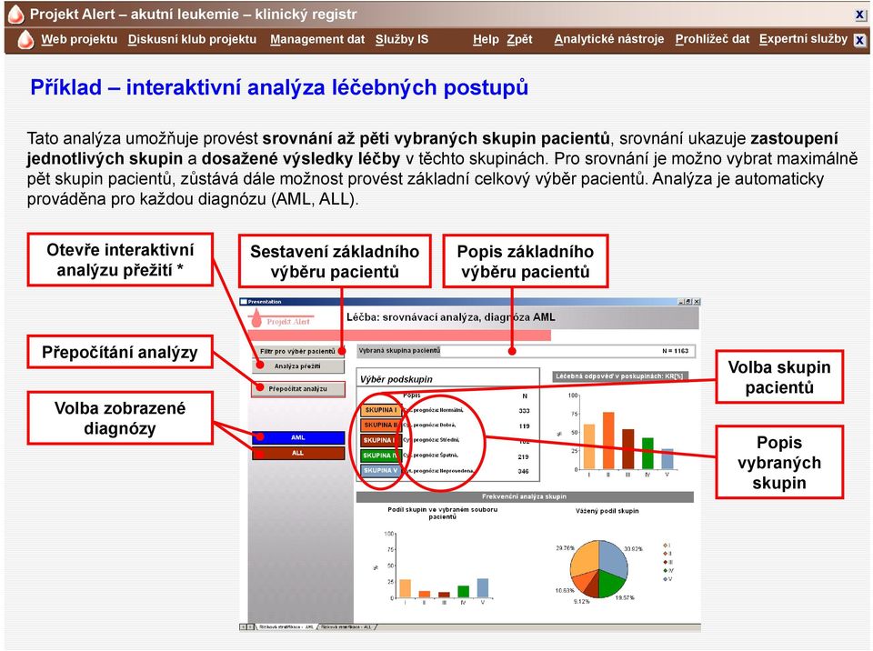 Pro srovnání je možno vybrat maximálně pět skupin pacientů, zůstává dále možnost provést základní celkový výběr pacientů. Analýza je automaticky prováděna pro každou diagnózu (AML, ALL).