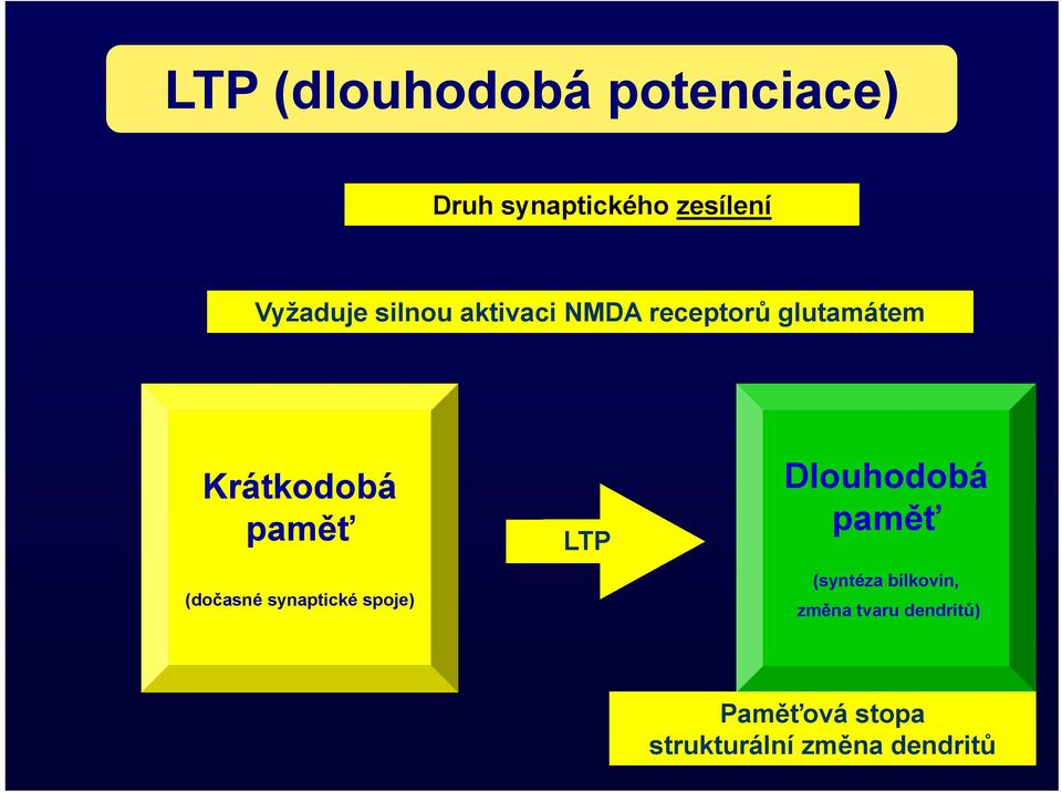 (dočasné synaptické spoje) LTP Dlouhodobá paměť (syntéza