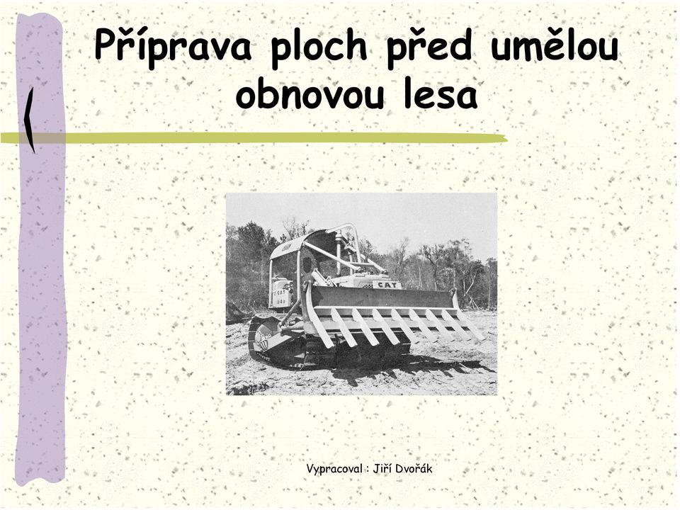 obnovou lesa