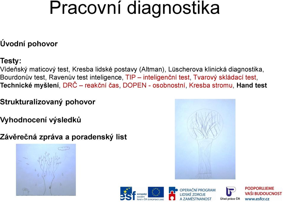 inteligenční test, Tvarový skládací test, Technické myšlení, DRČ reakční čas, DOPEN -