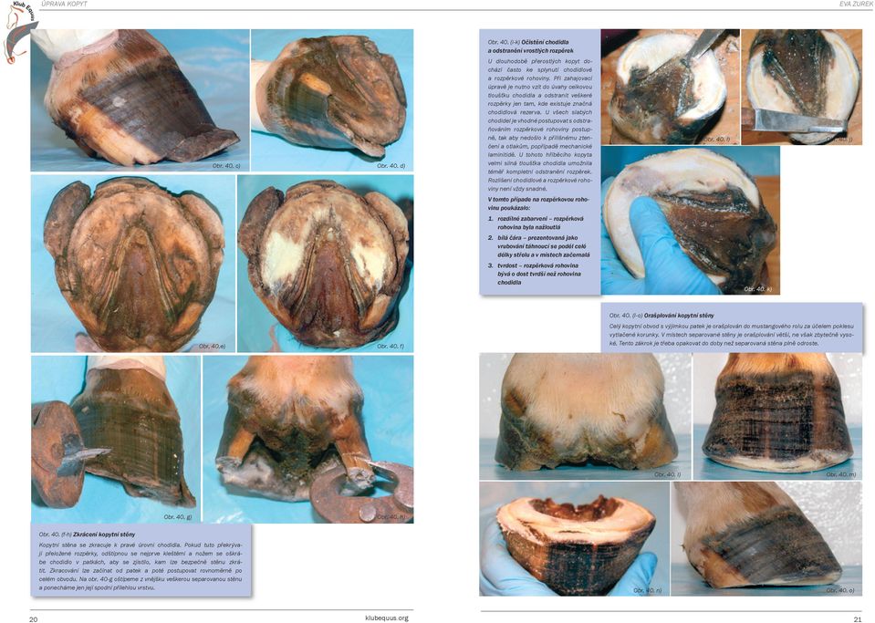 U všech slabých chodidel je vhodné postupovat s odstraňováním rozpěrkové rohoviny postupně, tak aby nedošlo k přílišnému ztenčení a otlakům, popřípadě mechanické laminitidě.