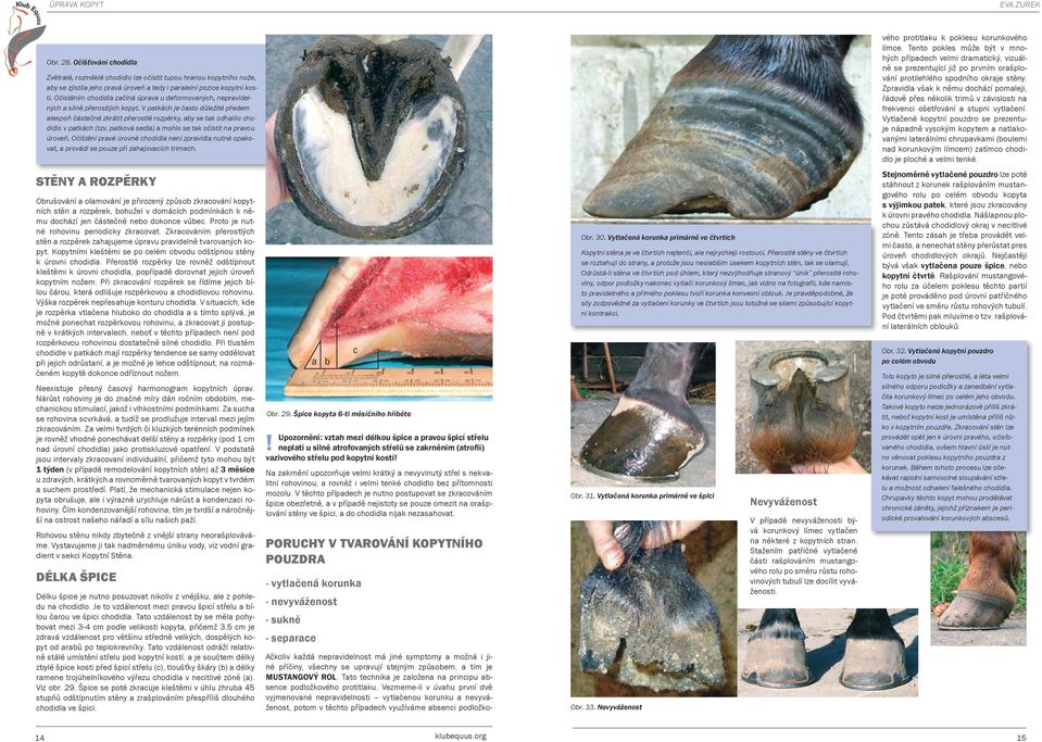V patkách je často důležité předem alespoň částečné zkrátit přerostlé rozpěrky, aby se tak odhalilo chodidlo v patkách (tzv. patková sedla) a mohlo se tak očistit na pravou úroveň.