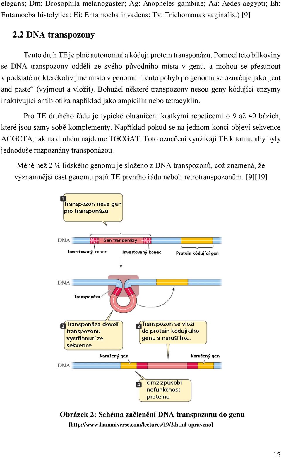 Pomocí této bílkoviny se DNA transpozony oddělí ze svého původního místa v genu, a mohou se přesunout v podstatě na kterékoliv jiné místo v genomu.