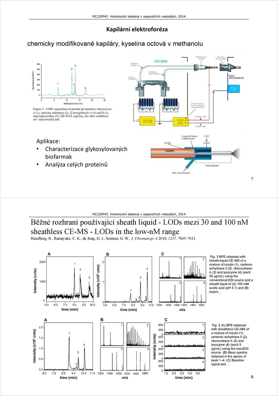 3 BPE obtained with sheath-liquid CE MS of a mixture of insulin (1), carbonic anhydrase II (2), ribonuclease A (3) and lysozyme (4) (each 50 μg/ml) using the conventional ESI source and a sheath