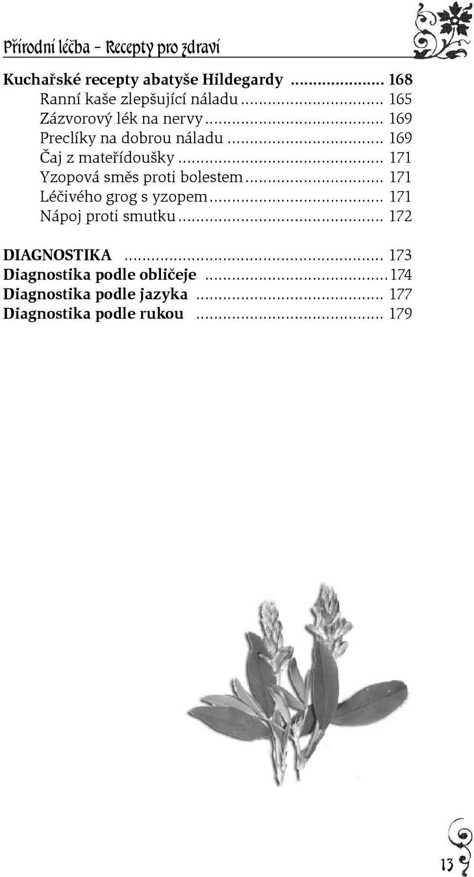 .. 171 Yzopová smìs proti bolestem... 171 Léèivého grog s yzopem... 171 Nápoj proti smutku.