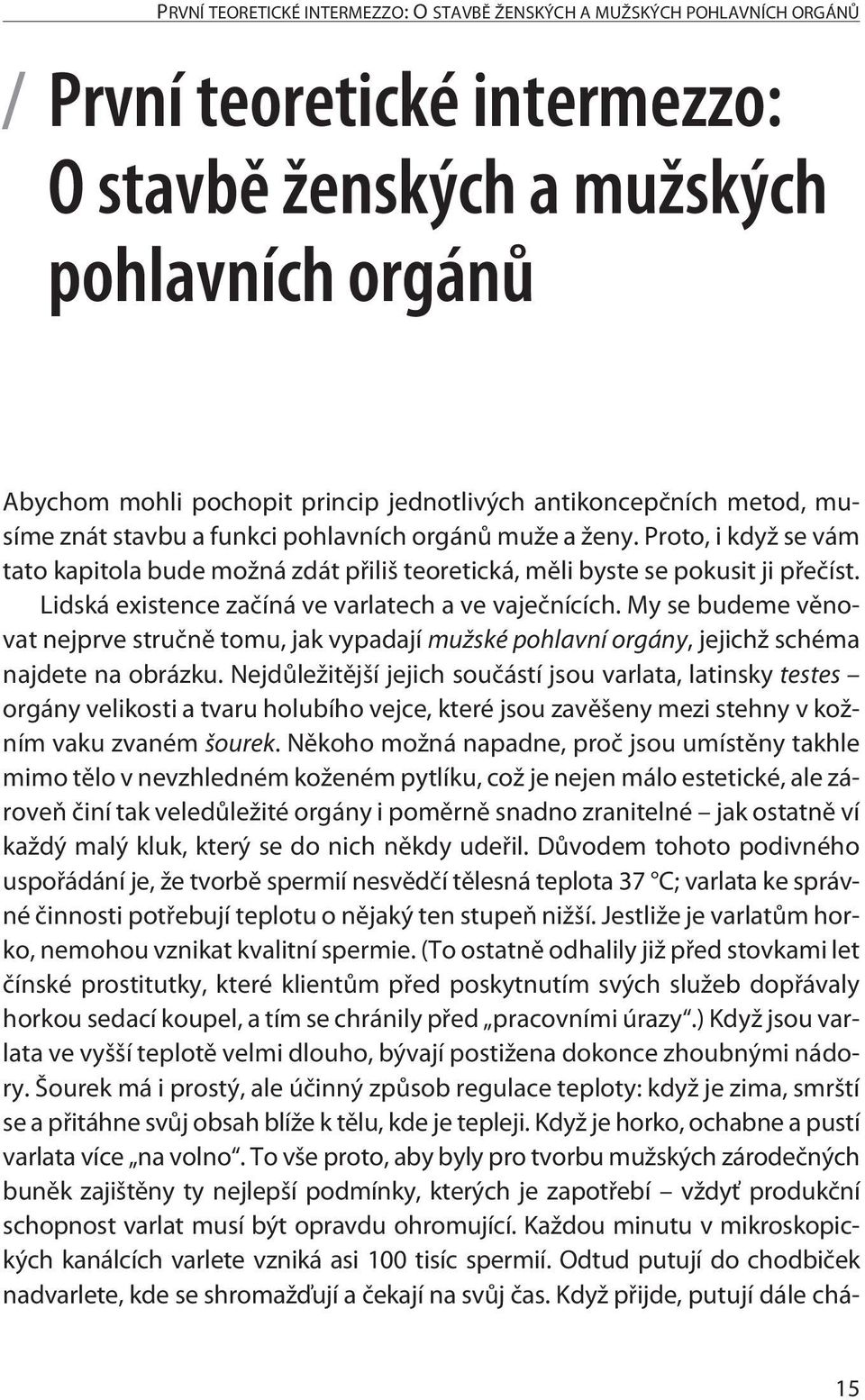 Lidská existence začíná ve varlatech a ve vaječnících. My se budeme věnovat nejprve stručně tomu, jak vypadají mužské pohlavní orgány, jejichž schéma najdete na obrázku.