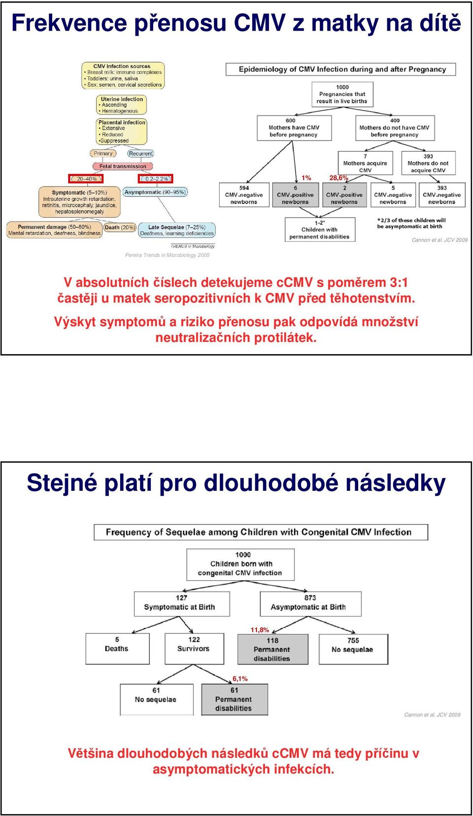 seropozitivních k CMV před těhotenstvím.