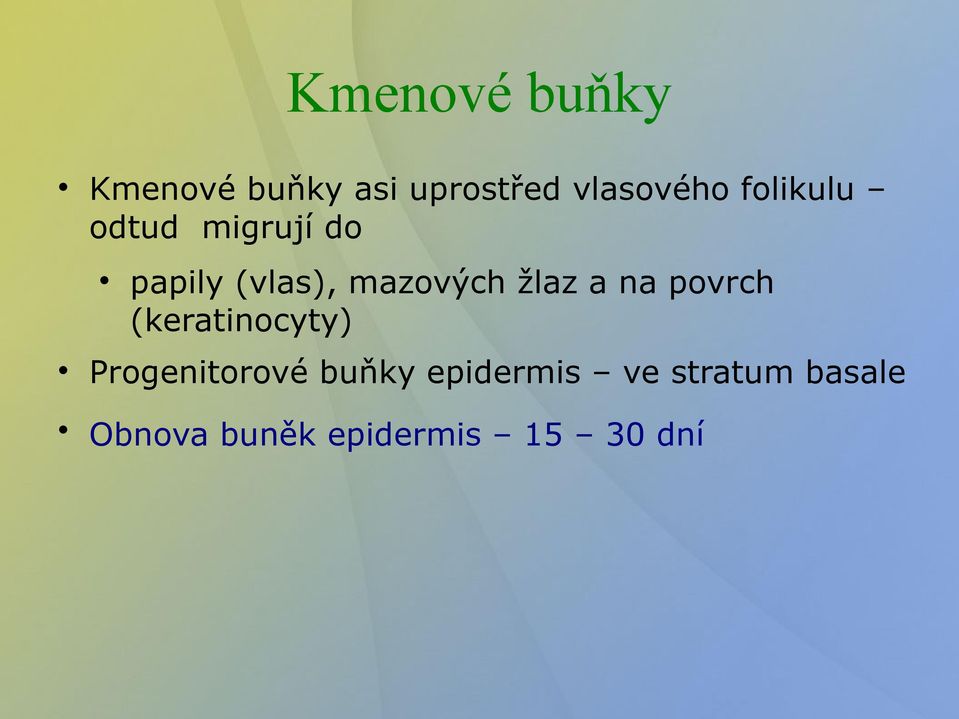 žlaz a na povrch (keratinocyty) Progenitorové buňky