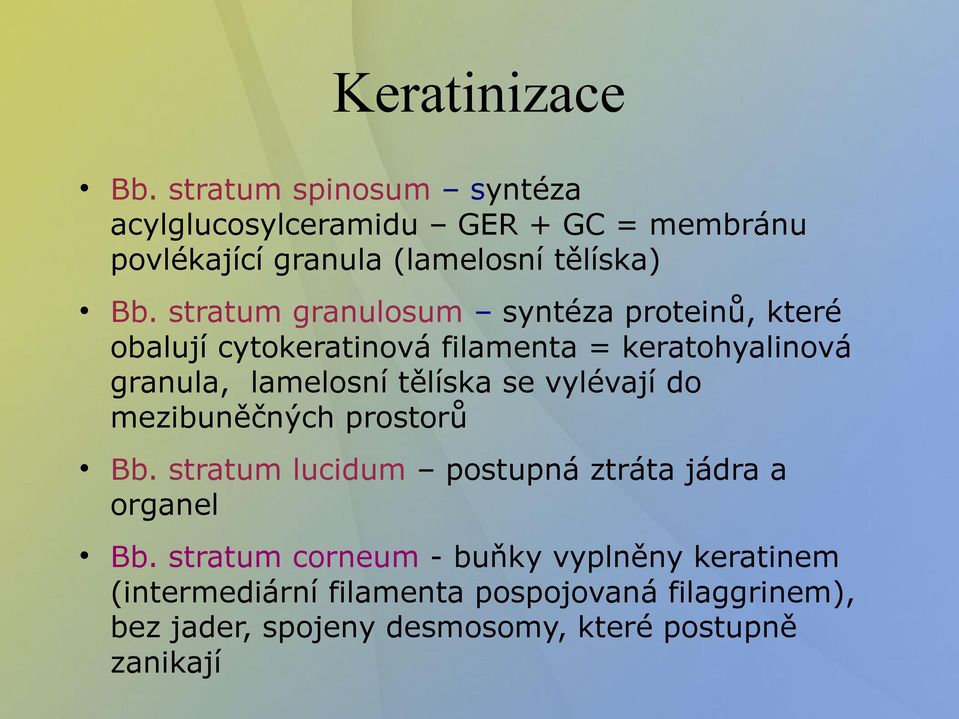 stratum granulosum syntéza proteinů, které obalují cytokeratinová filamenta = keratohyalinová granula, lamelosní tělíska