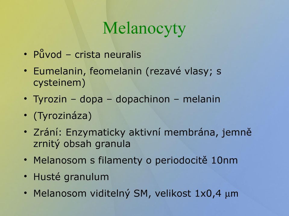 Enzymaticky aktivní membrána, jemně zrnitý obsah granula Melanosom s