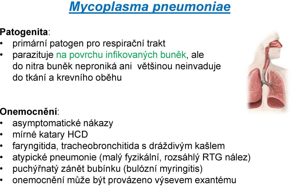 asymptomatické nákazy mírné katary HCD faryngitida, tracheobronchitida s dráždivým kašlem atypické pneumonie