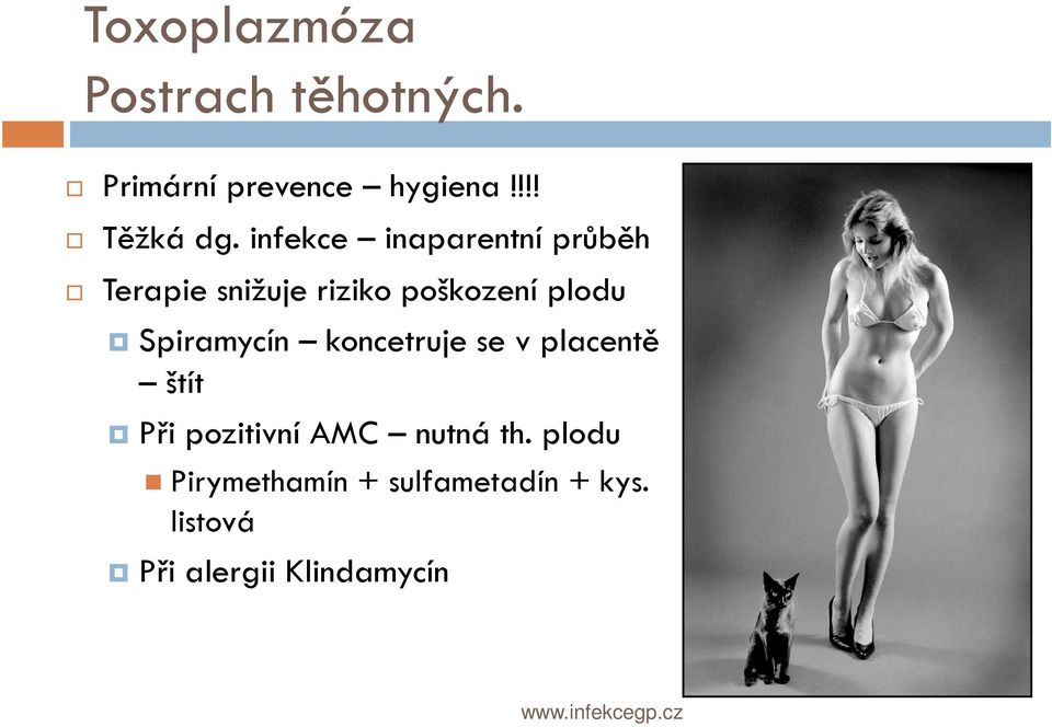 Spiramycín koncetruje se v placentě štít Při pozitivní AMC nutná th.