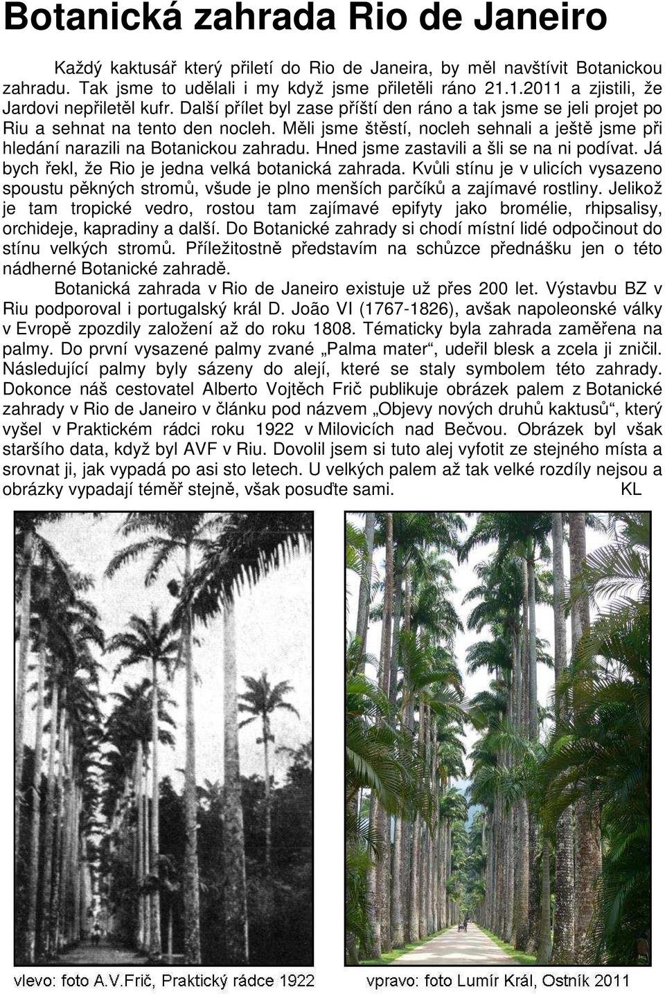 Měli jsme štěstí, nocleh sehnali a ještě jsme při hledání narazili na Botanickou zahradu. Hned jsme zastavili a šli se na ni podívat. Já bych řekl, že Rio je jedna velká botanická zahrada.