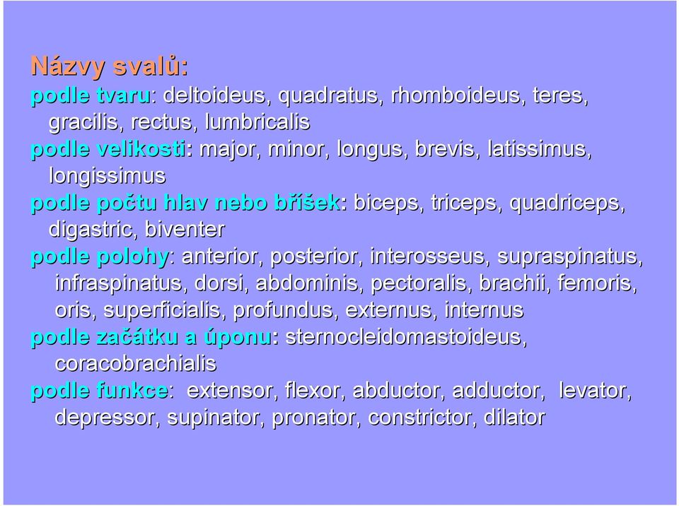 interosseus, supraspinatus, infraspinatus, dorsi, abdominis, pectoralis,, brachii, femoris, oris, superficialis, profundus, externus, internus podle