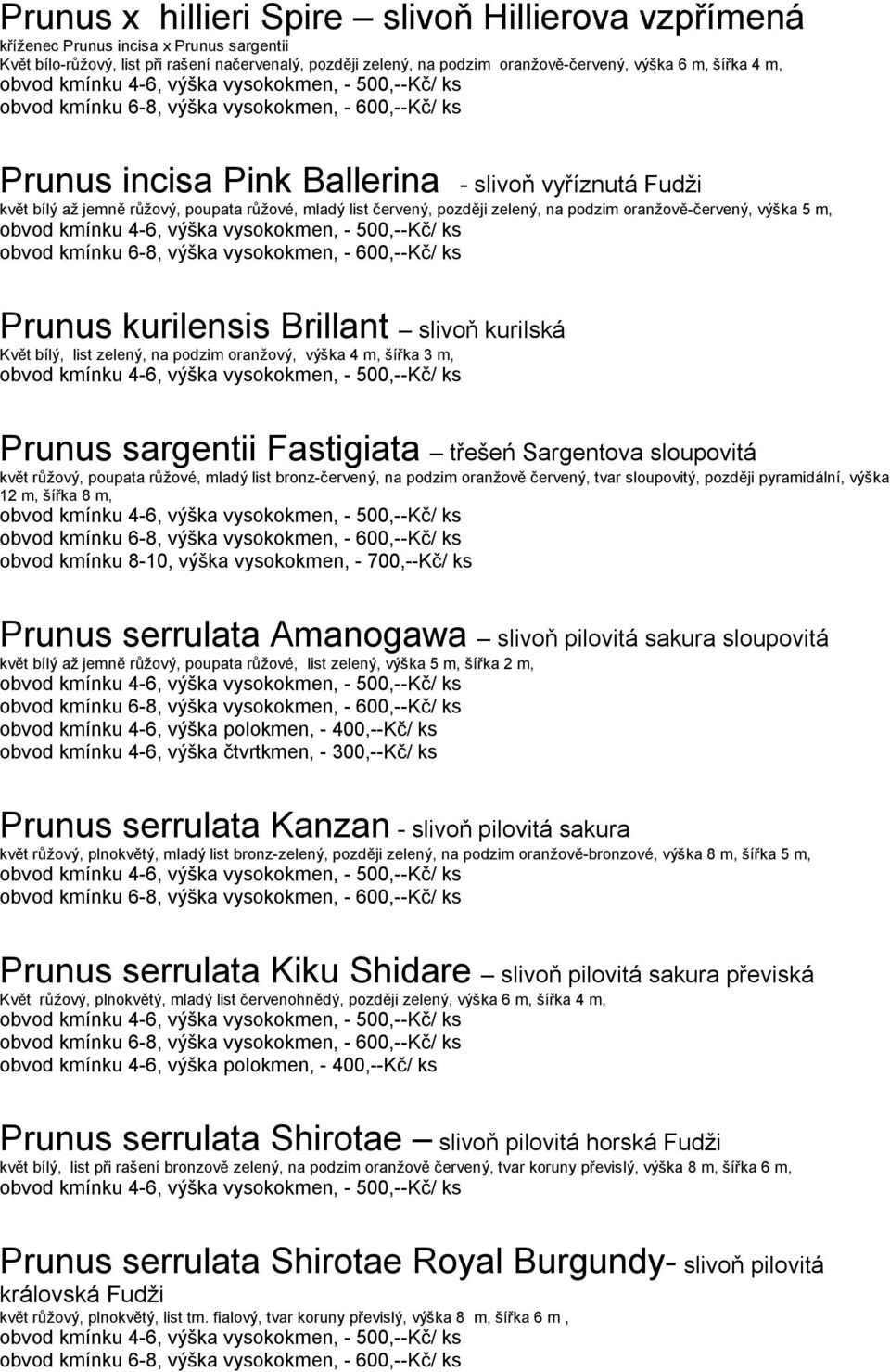 kurilensis Brillant slivoň kurilská Květ bílý, list zelený, na podzim oranžový, výška 4 m, šířka 3 m, Prunus sargentii Fastigiata třešeń Sargentova sloupovitá květ růžový, poupata růžové, mladý list