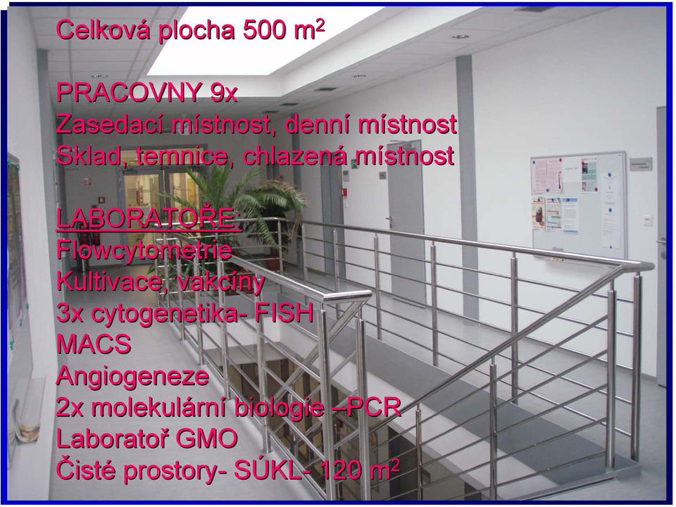 Flowcytometrie Kultivace, vakcíny 3x cytogenetika- FISH MACS