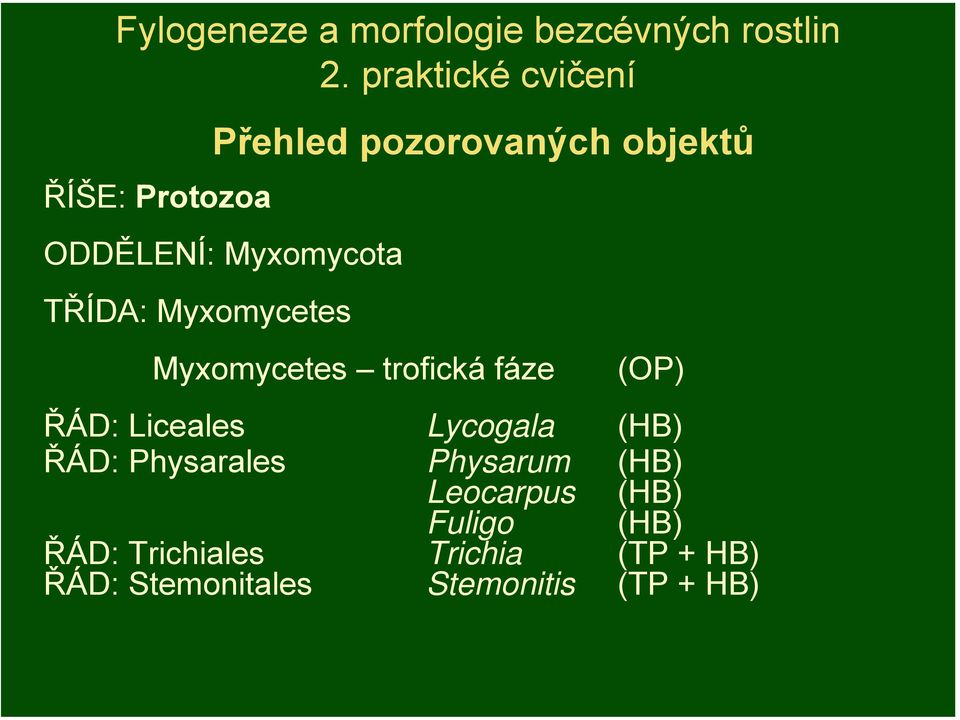 pozorovaných objektů Myxomycetes trofická fáze (OP) ŘÁD: Liceales Lycogala (HB)