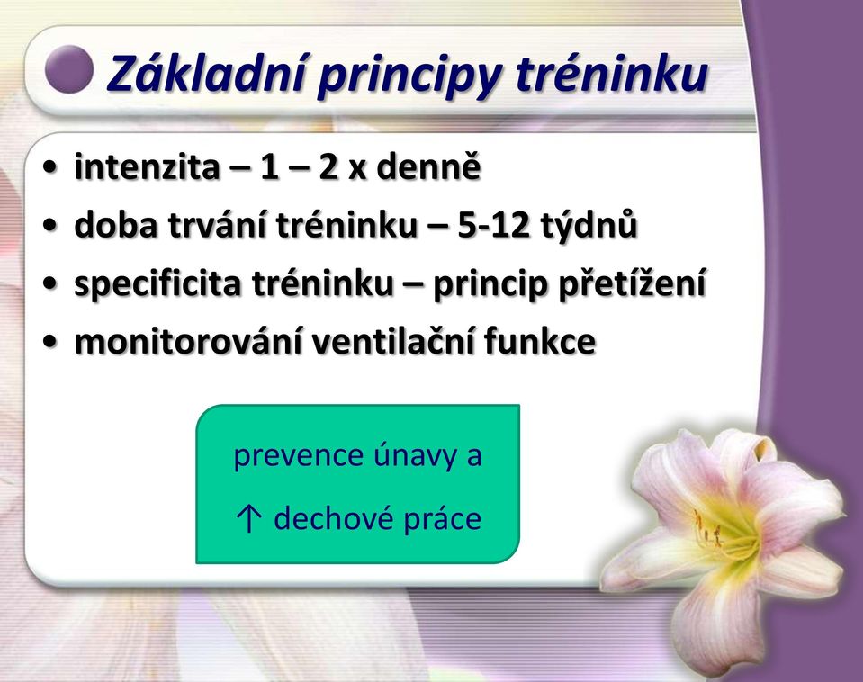 specificita tréninku princip přetížení