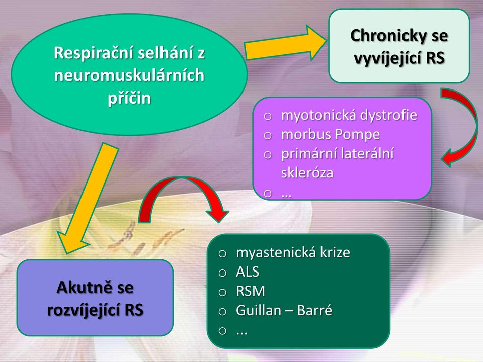 morbus Pompe o primární laterální skleróza o Akutně se