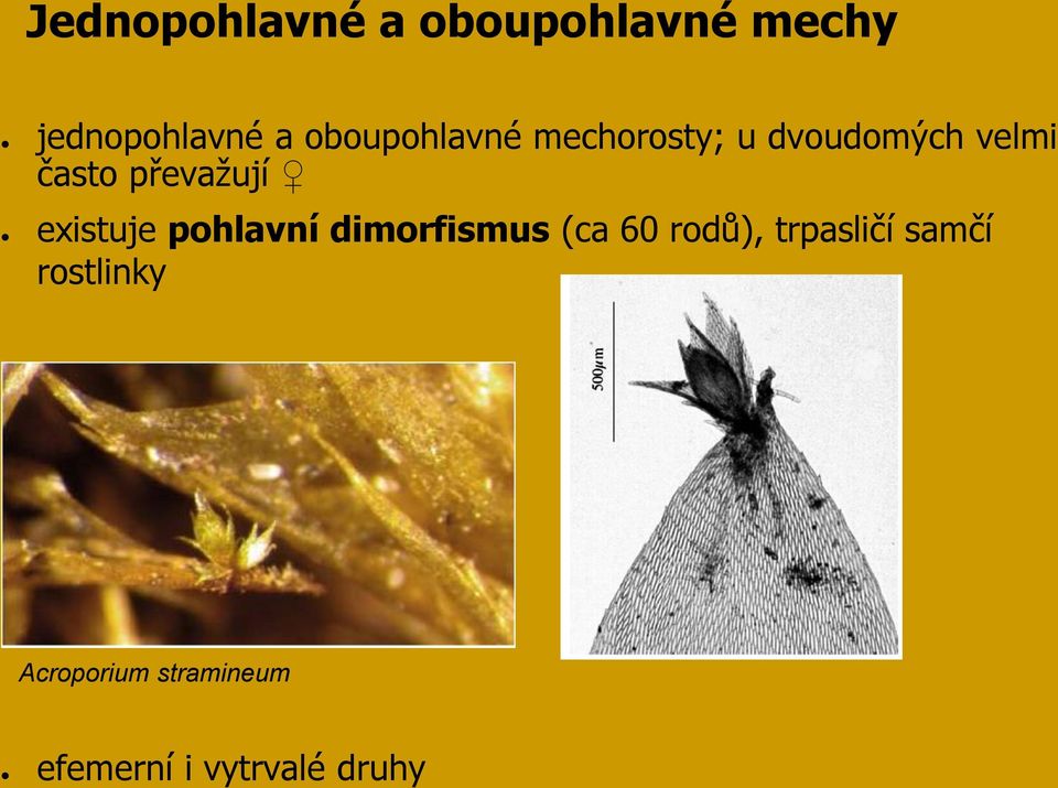 převažují existuje pohlavní dimorfismus (ca 60 rodů),