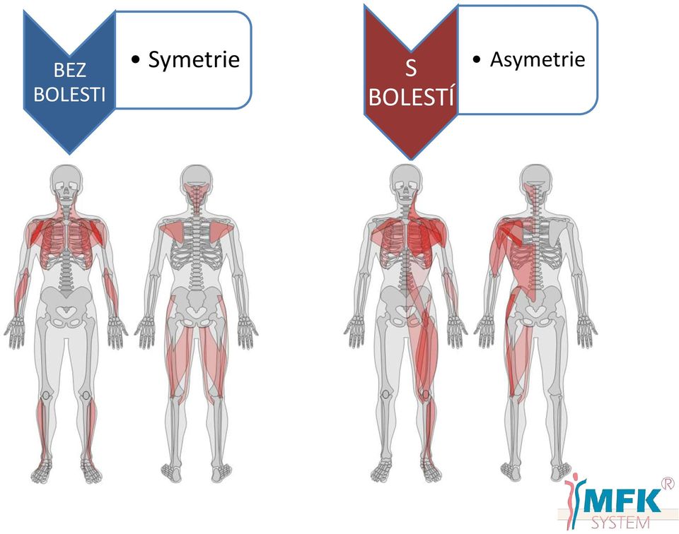 Symetrie