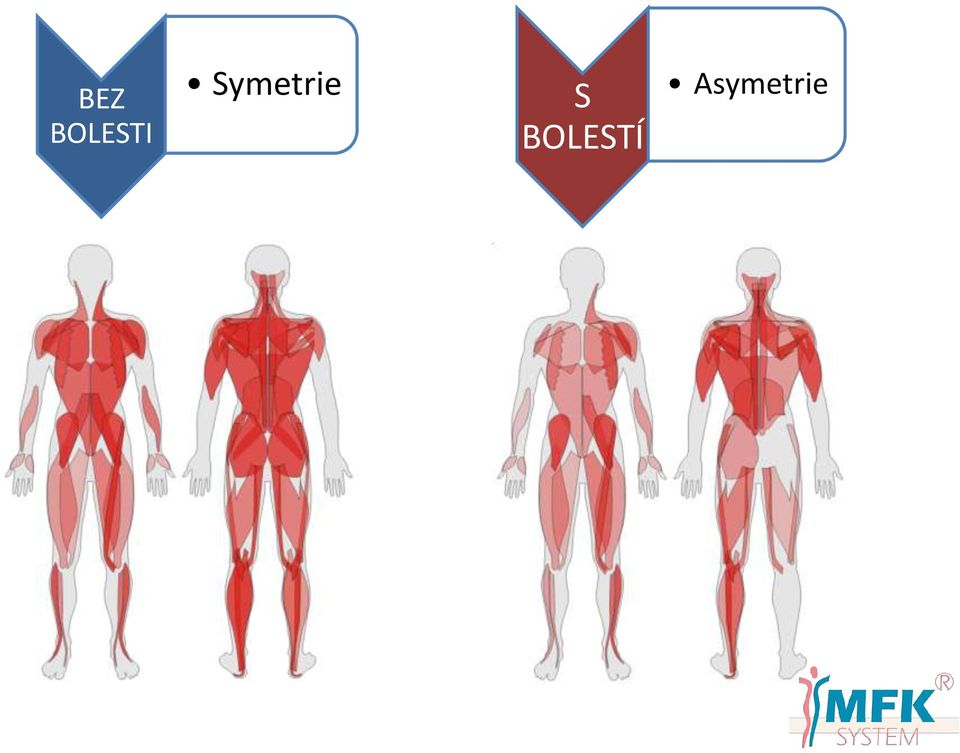 Symetrie