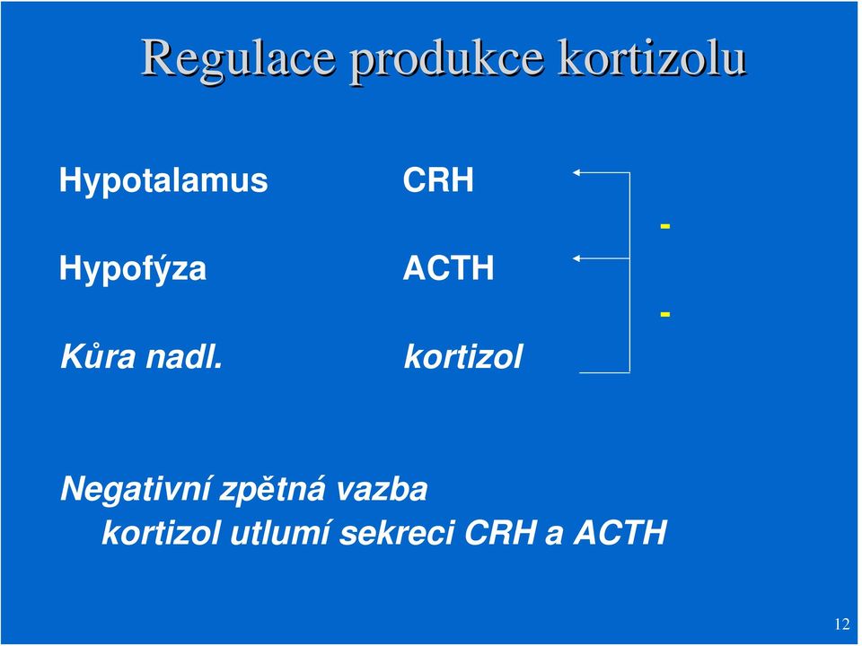 CRH ACTH kortizol - - Negativní