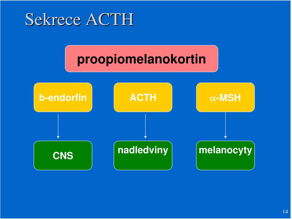 b-endorfin ACTH