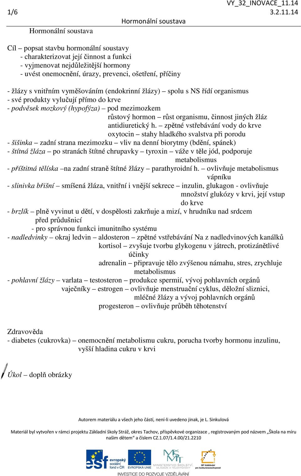 vyměšováním (endokrinní žlázy) spolu s NS řídí organismus - své produkty vylučují přímo do krve - podvěsek mozkový (hypofýza) pod mezimozkem růstový hormon růst organismu, činnost jiných žláz