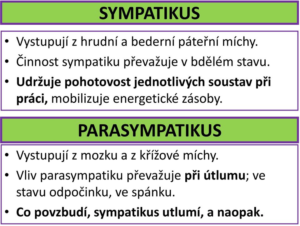 Udržuje pohotovost jednotlivých soustav při práci, mobilizuje energetické zásoby.