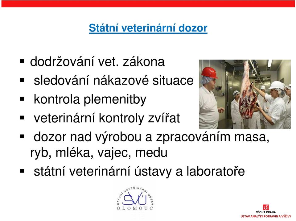 veterinární kontroly zvířat dozor nad výrobou a