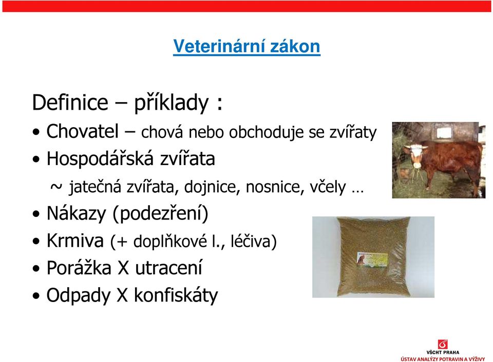 zvířata, dojnice, nosnice, včely Nákazy (podezření)