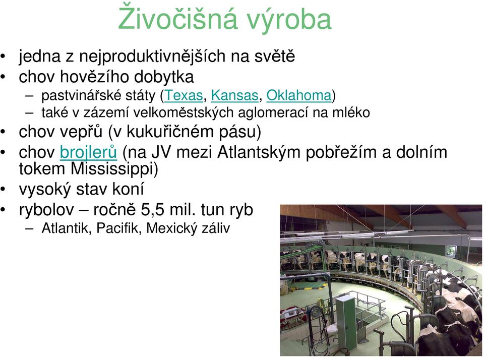 vepřů (v kukuřičném pásu) chov brojlerů (na JV mezi Atlantským pobřežím a dolním tokem