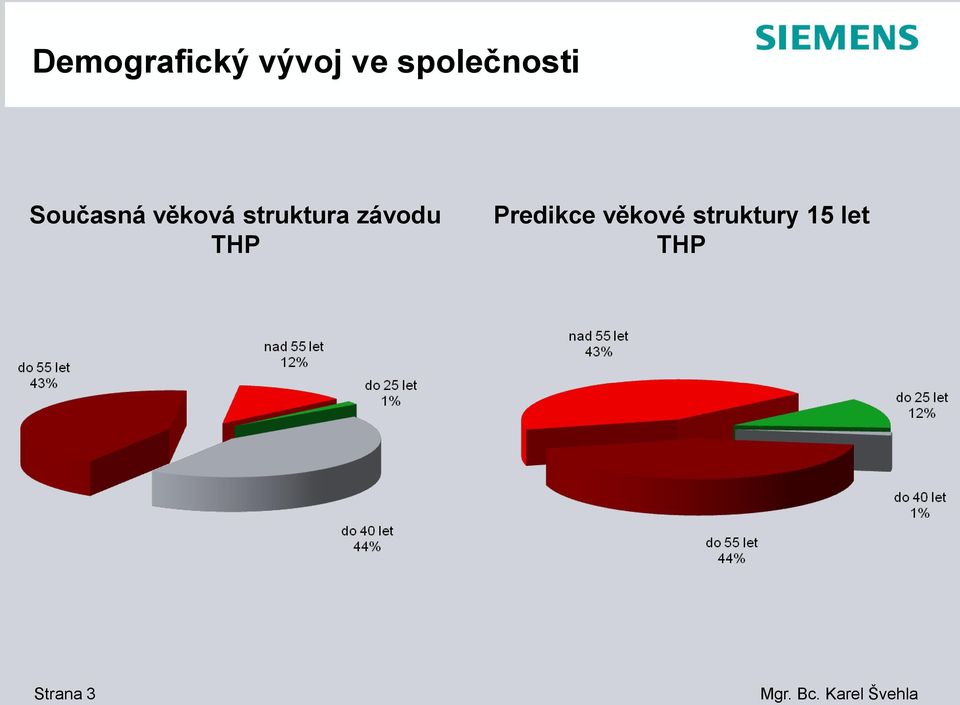 struktura závodu THP