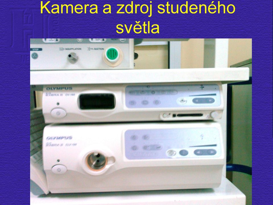 studeného