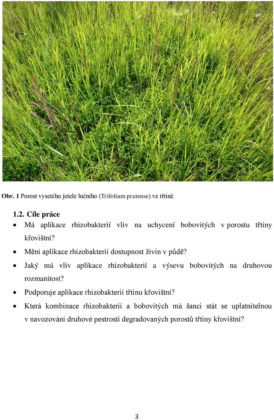 Mění aplikace rhizobakterií dostupnost živin v půdě?
