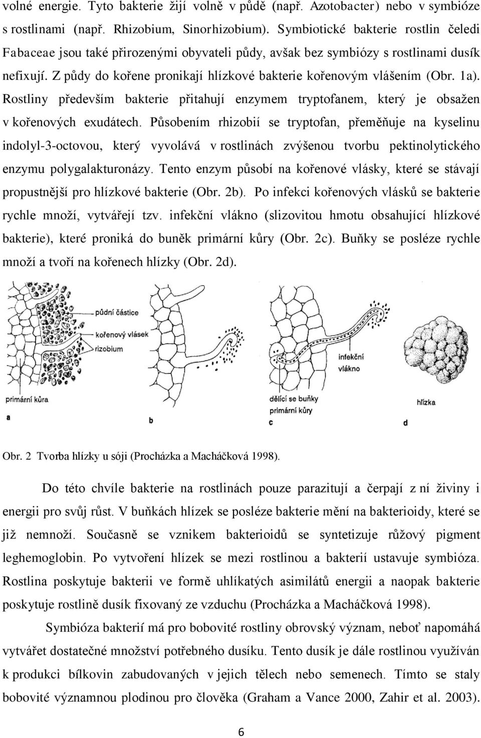 1a). Rostliny především bakterie přitahují enzymem tryptofanem, který je obsažen v kořenových exudátech.