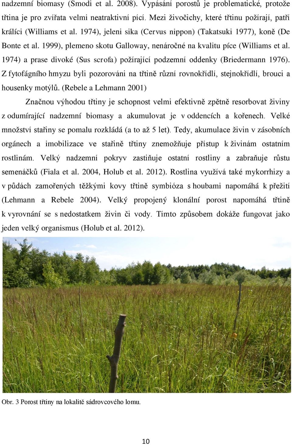 1974) a prase divoké (Sus scrofa) požírající podzemní oddenky (Briedermann 1976). Z fytofágního hmyzu byli pozorováni na třtině různí rovnokřídlí, stejnokřídlí, brouci a housenky motýlů.