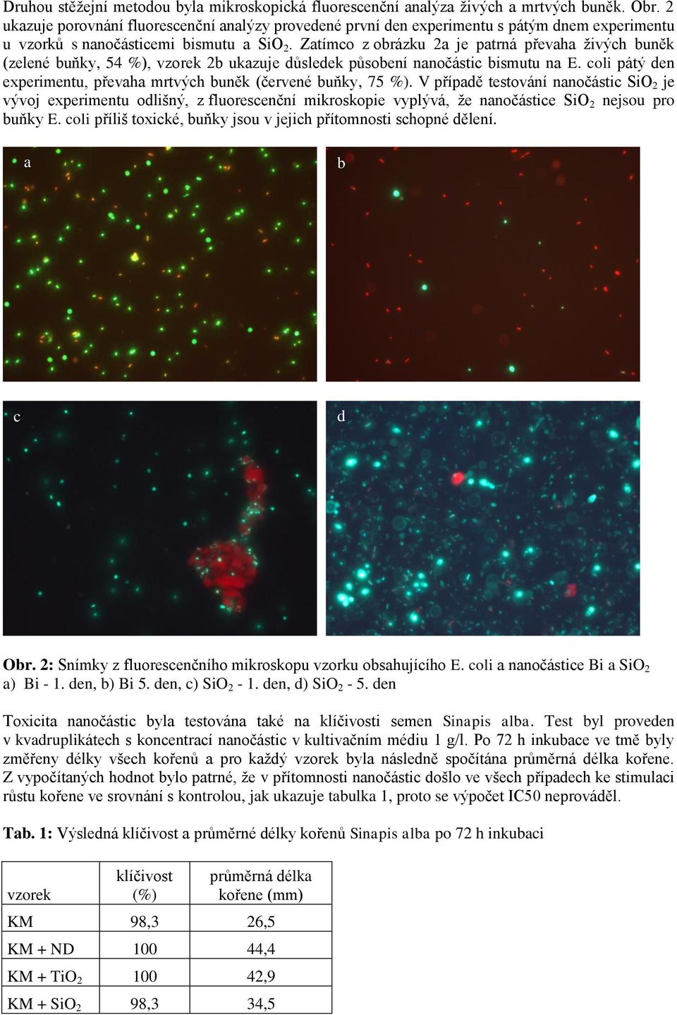 Zatímco z obrázku 2a je patrná převaha živých buněk (zelené buňky, 54 %), vzorek 2b ukazuje důsledek působení nanočástic bismutu na E.