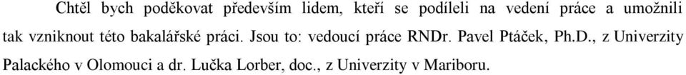 Jsou to: vedoucí práce RNDr