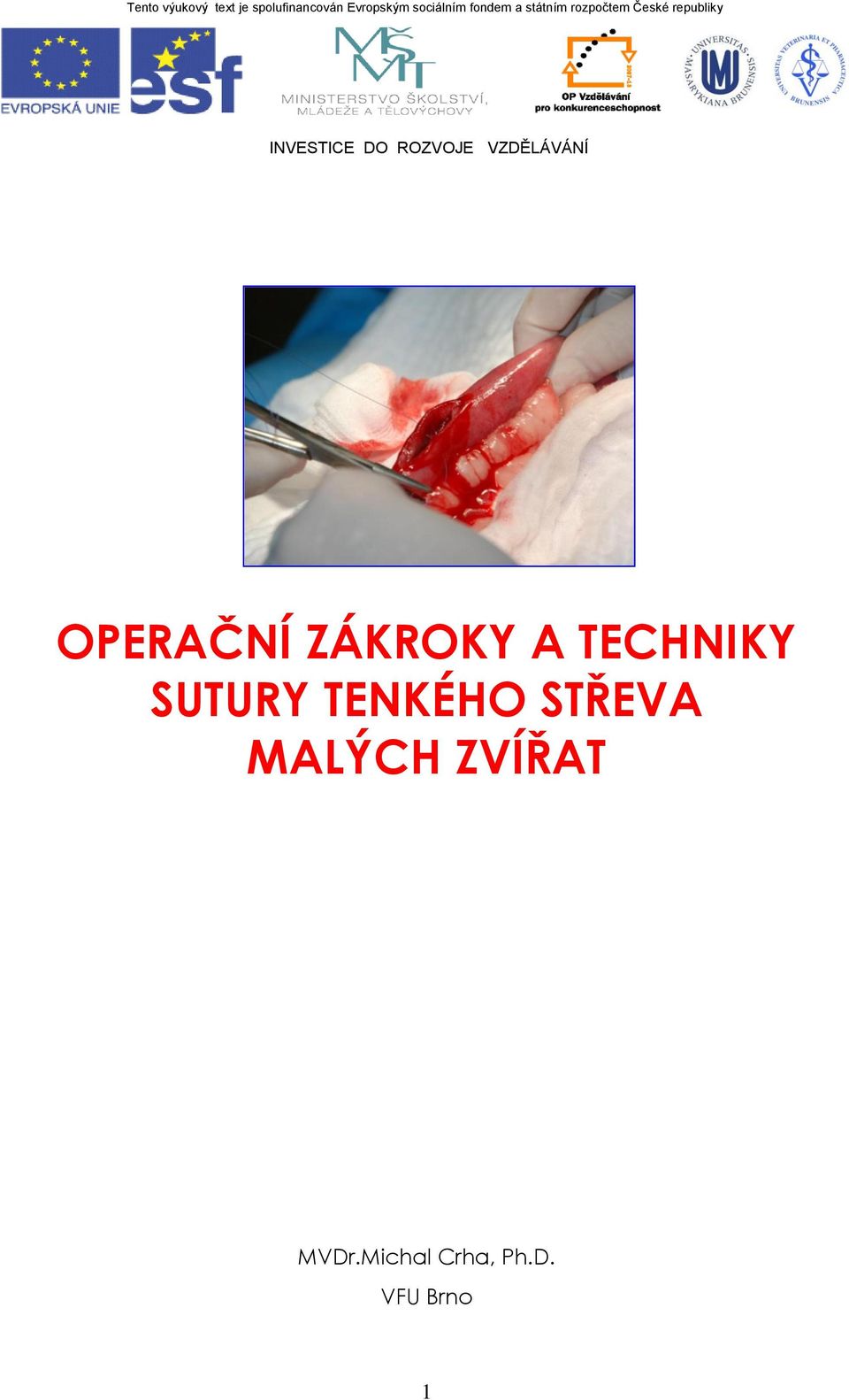 ROZVOJE VZDĚLÁVÁNÍ OPERAČNÍ ZÁKROKY A TECHNIKY SUTURY