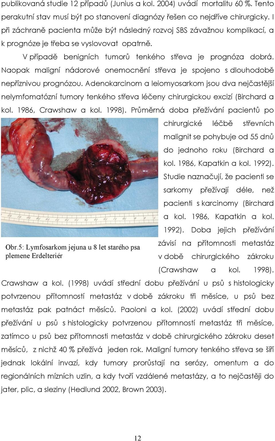 Naopak maligní nádorové onemocnění střeva je spojeno s dlouhodobě nepříznivou prognózou.
