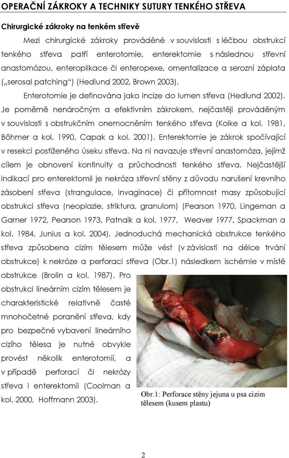 Enterotomie je definována jako incize do lumen střeva (Hedlund 2002).