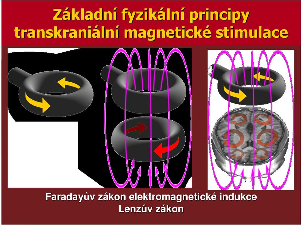 magnetické stimulace Faradayův zákon
