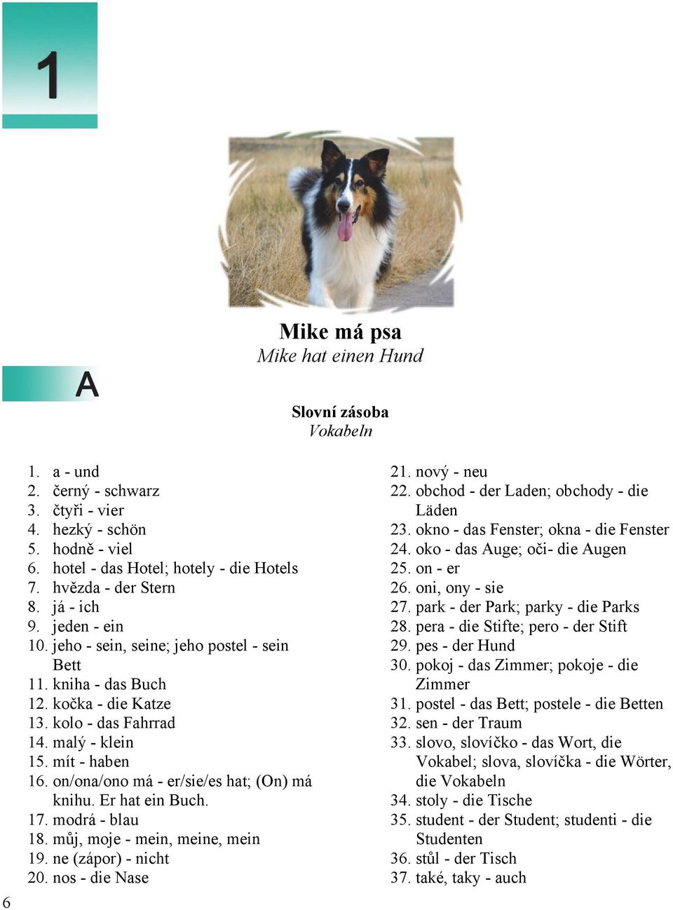 on/ona/ono má - er/sie/es hat; (On) má knihu. Er hat ein Buch. 17. modrá - blau 18. můj, moje - mein, meine, mein 19. ne (zápor) - nicht 20. nos - die Nase 21. nový - neu 22.