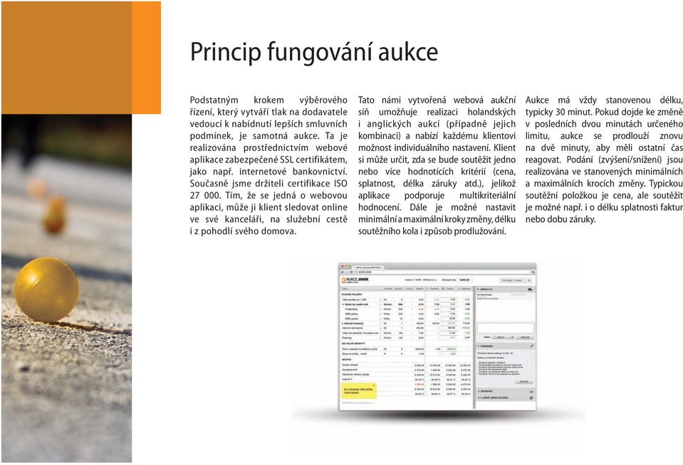 Tím, že se jedná o webovou aplikaci, může ji klient sledovat online ve své kanceláři, na služební cestě i z pohodlí svého domova.