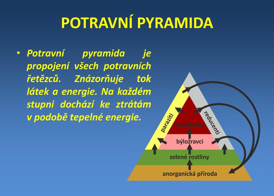 Znázorňuje tok látek a energie.